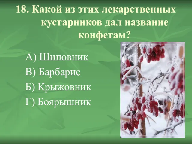 18. Какой из этих лекарственных кустарников дал название конфетам? А)