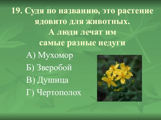 19. Судя по названию, это растение ядовито для животных. А