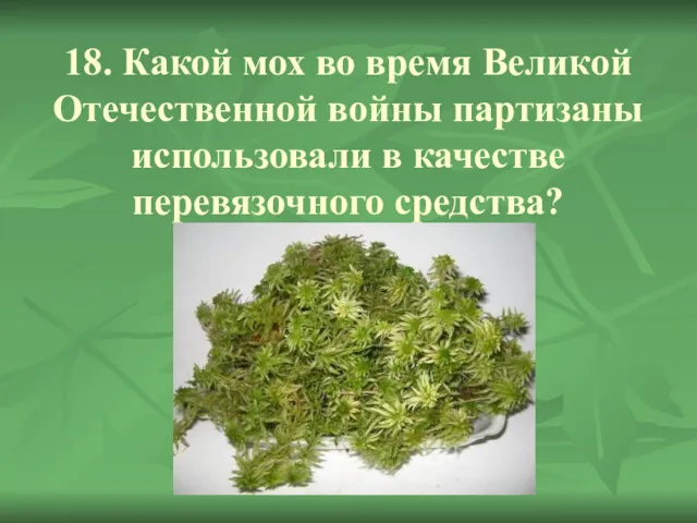 18. Какой мох во время Великой Отечественной войны партизаны использовали в качестве перевязочного средства?