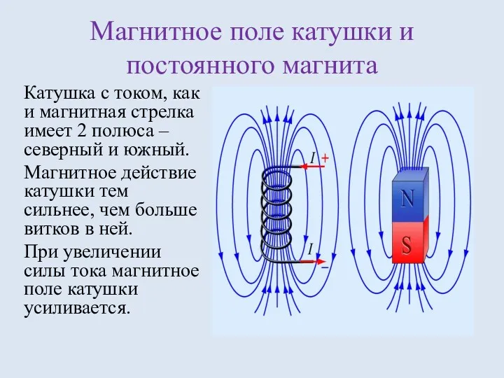 Магнитное поле катушки и постоянного магнита Катушка с током, как