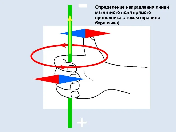 + - Определение направления линий магнитного поля прямого проводника с током (правило буравчика)