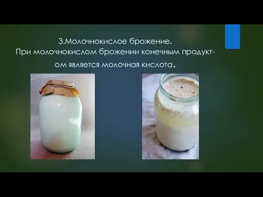 3.Молочнокислое брожение. При молочнокислом брожении конечным продукт-ом является молочная кислота.