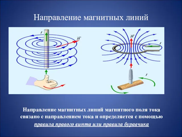 Направление магнитных линий Направление магнитных линий магнитного поля тока связано