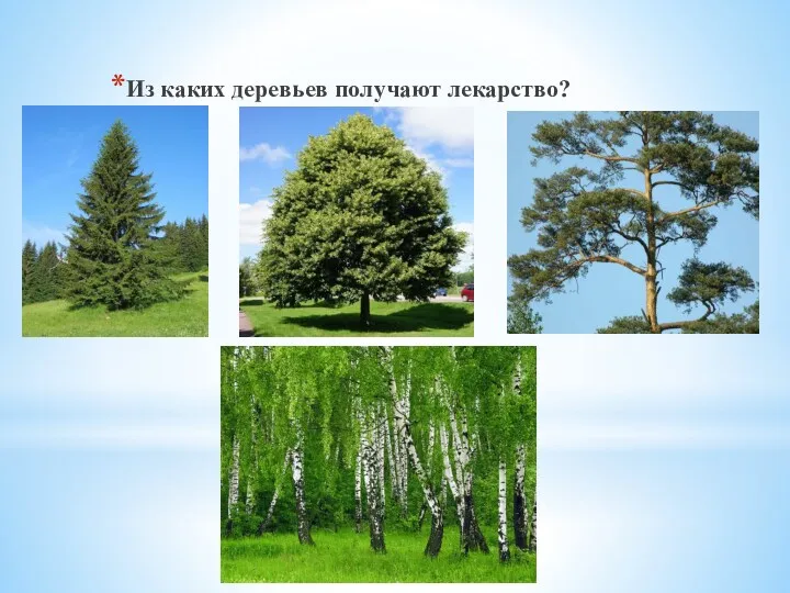 Из каких деревьев получают лекарство?
