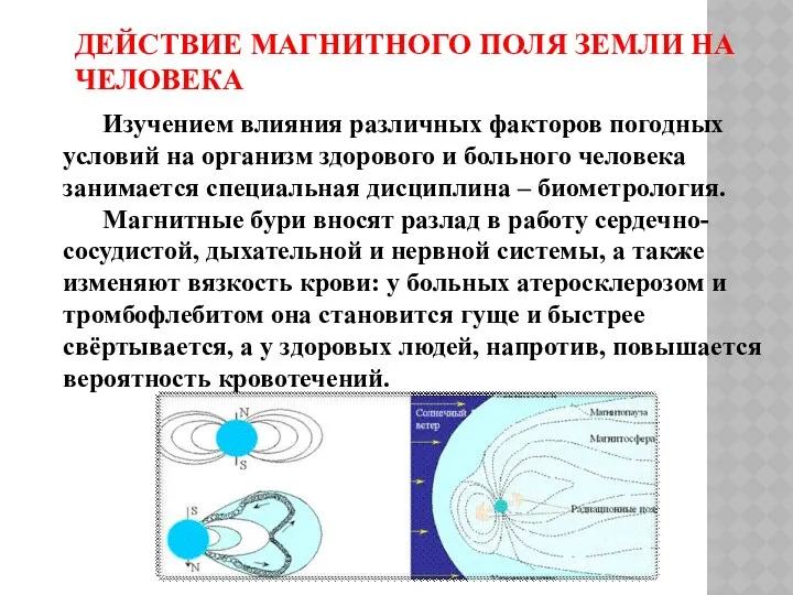 ДЕЙСТВИЕ МАГНИТНОГО ПОЛЯ ЗЕМЛИ НА ЧЕЛОВЕКА Изучением влияния различных факторов