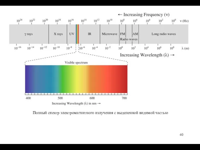 Полный спектр электромагнитного излучения с выделенной видимой частью