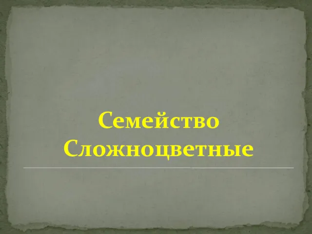 Семейство Сложноцветные