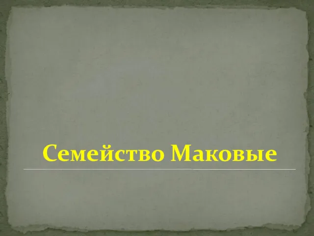 Семейство Маковые