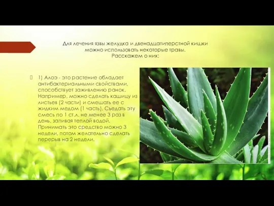 1) Алоэ - это растение обладает антибактериальными свойствами, способствует заживлению ранок. Например, можно