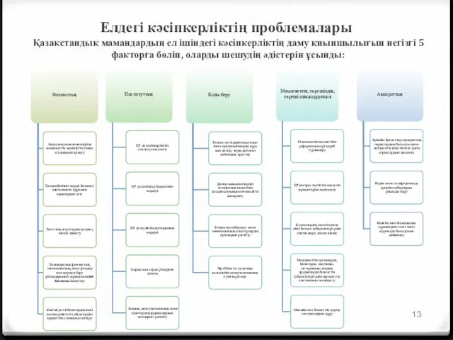 Елдегі кәсіпкерліктің проблемалары Қазақстандық мамандардың ел ішіндегі кәсіпкерліктің даму қиыншылығын