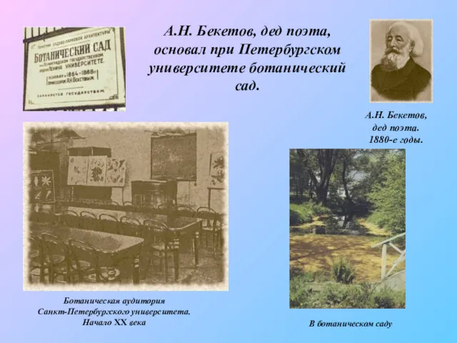 Ботаническая аудитория Санкт-Петербургского университета. Начало ХХ века В ботаническом саду А.Н. Бекетов, дед