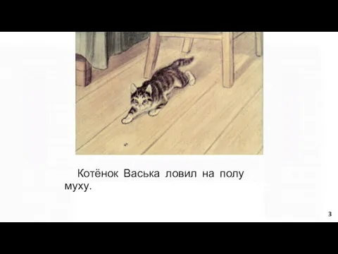 Котёнок Васька ловил на полу муху. 3