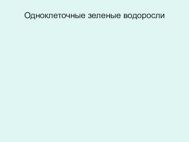 Одноклеточные зеленые водоросли