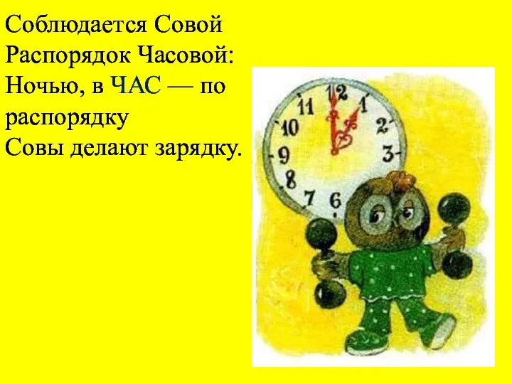 Соблюдается Совой Распорядок Часовой: Ночью, в ЧАС — по распорядку Совы делают зарядку.