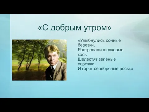 «С добрым утром» «Улыбнулись сонные березки, Растрепали шелковые косы. Шелестят зеленые сережки, И горят серебряные росы.»