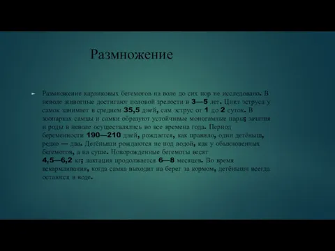 Размножение Размножение карликовых бегемотов на воле до сих пор не