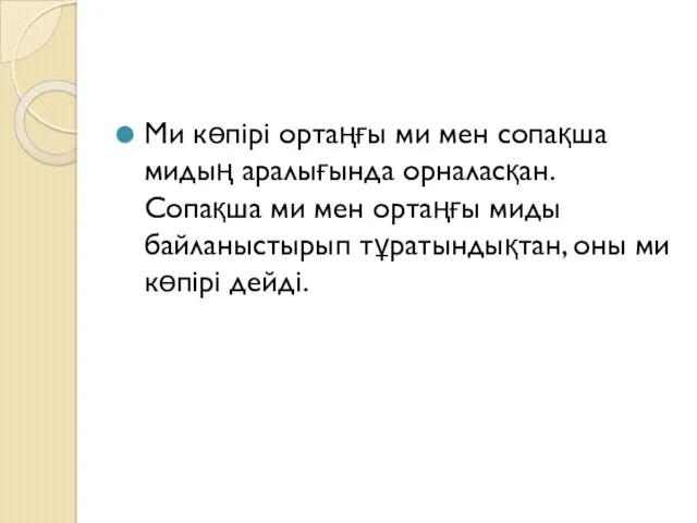 Ми көпірі ортаңғы ми мен сопақша мидың аралығында орналасқан. Сопақша