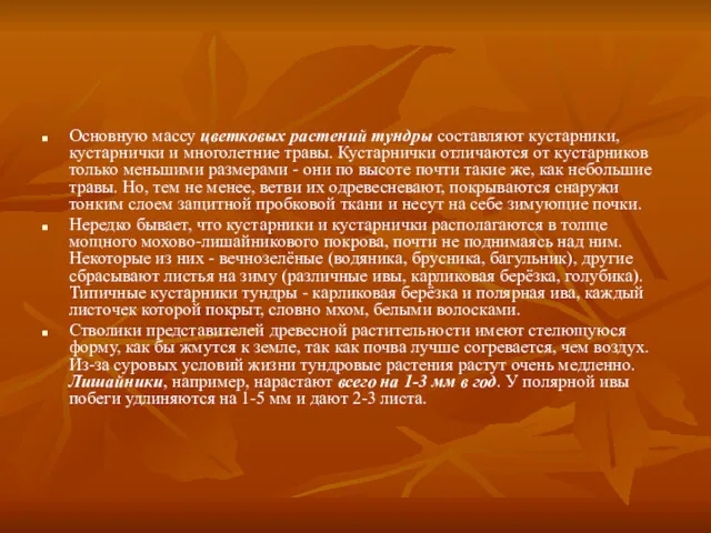 Основную массу цветковых растений тундры составляют кустарники, кустарнички и многолетние