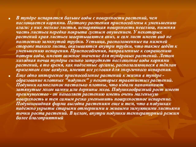 В тундре испаряется больше воды с поверхности растений, чем поглощается