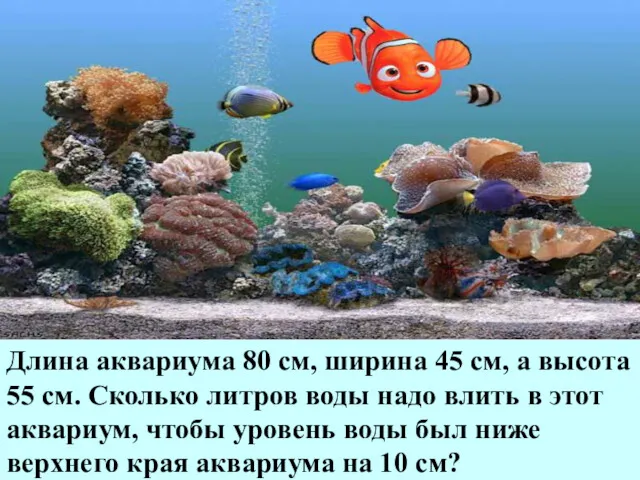Длина аквариума 80 см, ширина 45 см, а высота 55