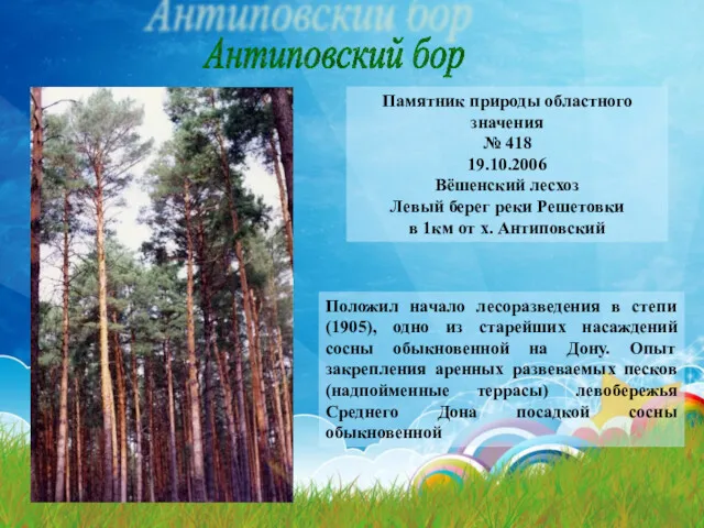 Антиповский бор Памятник природы областного значения № 418 19.10.2006 Вёшенский