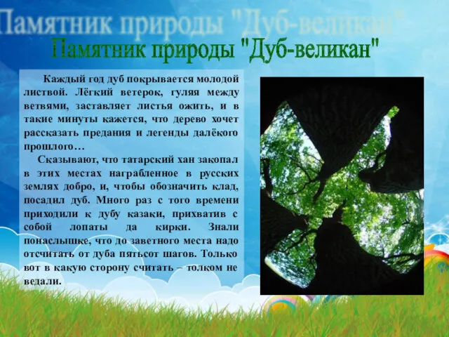 Памятник природы "Дуб-великан" Каждый год дуб покрывается молодой листвой. Лёгкий