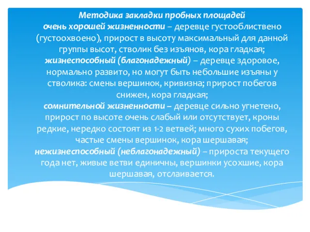 Методика закладки пробных площадей очень хорошей жизненности – деревце густооблиствено