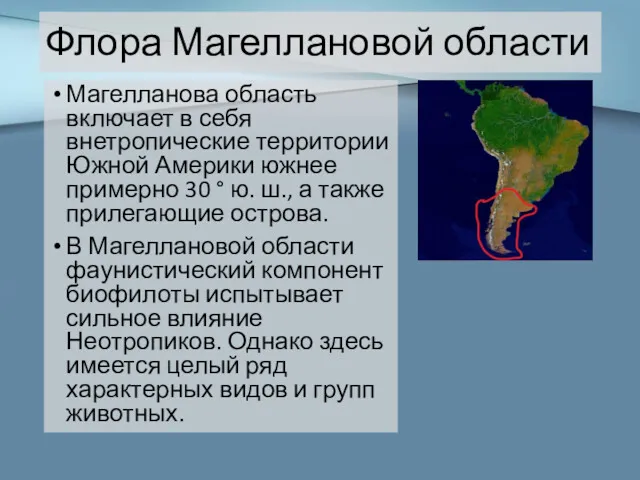 Флора Магеллановой области Магелланова область включает в себя внетропические территории