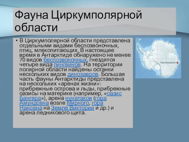 Фауна Циркумполярной области В Циркумполярной области представлена отдельными видами беспозвоночных,