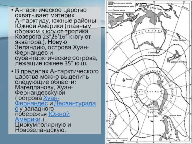 Антарктическое царство охватывает материк Антарктиду, южные районы Южной Америки (главным