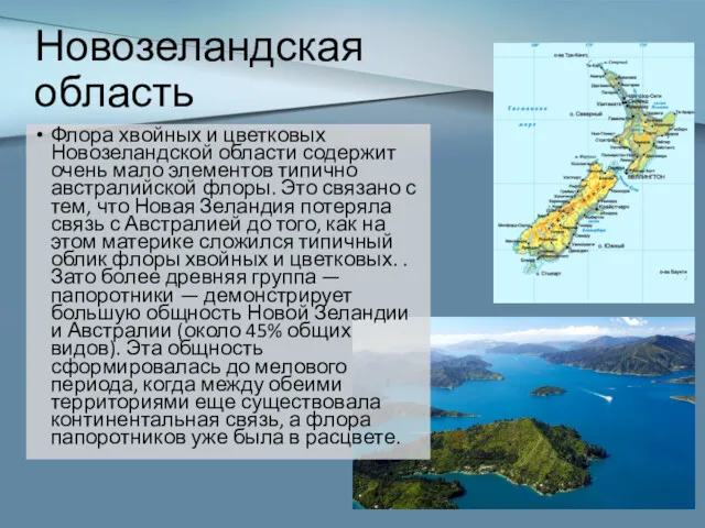 Новозеландская область Флора хвойных и цветковых Новозеландской области содержит очень