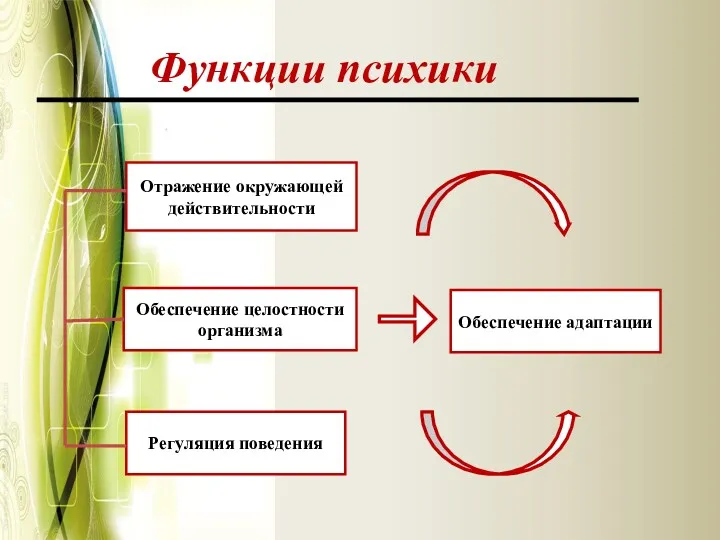 Функции психики Отражение окружающей действительности Регуляция поведения Обеспечение целостности организма Обеспечение адаптации