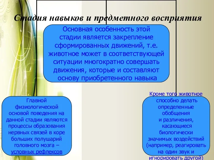 Стадия навыков и предметного восприятия