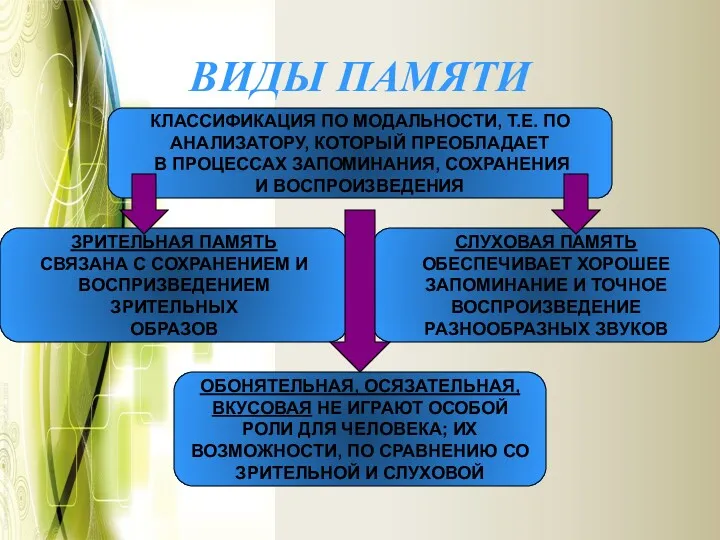 ВИДЫ ПАМЯТИ КЛАССИФИКАЦИЯ ПО МОДАЛЬНОСТИ, Т.Е. ПО АНАЛИЗАТОРУ, КОТОРЫЙ ПРЕОБЛАДАЕТ