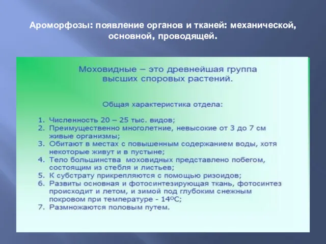 Ароморфозы: появление органов и тканей: механической, основной, проводящей.