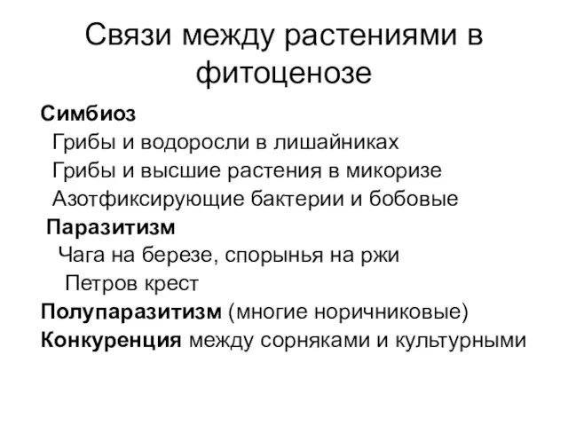 Связи между растениями в фитоценозе Симбиоз Грибы и водоросли в