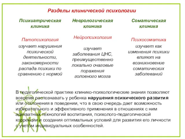 Разделы клинической психологии Психиатрическая клиника Патопсихология изучает нарушения психической деятельности,