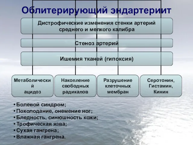 Облитерирующий эндартериит Болевой синдром; Похолодание, онемение ног; Бледность, синюшность кожи; Трофическая язва; Сухая гангрена; Влажная гангрена.