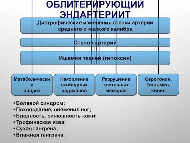 ОБЛИТЕРИРУЮЩИЙ ЭНДАРТЕРИИТ Болевой синдром; Похолодание, онемение ног; Бледность, синюшность кожи; Трофическая язва; Сухая гангрена; Влажная гангрена.