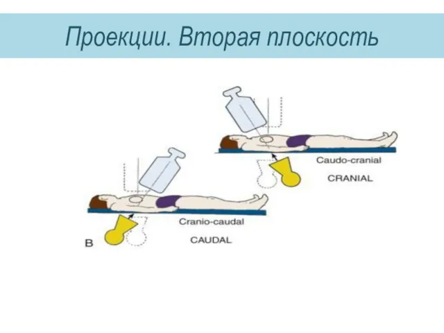 Проекции. Вторая плоскость