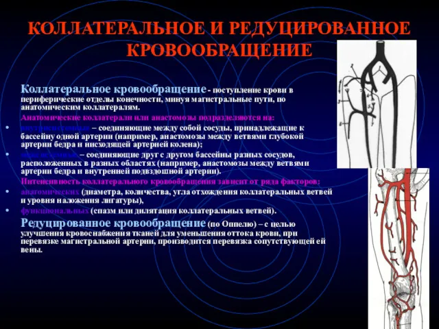 КОЛЛАТЕРАЛЬНОЕ И РЕДУЦИРОВАННОЕ КРОВООБРАЩЕНИЕ Коллатеральное кровообращение - поступление крови в