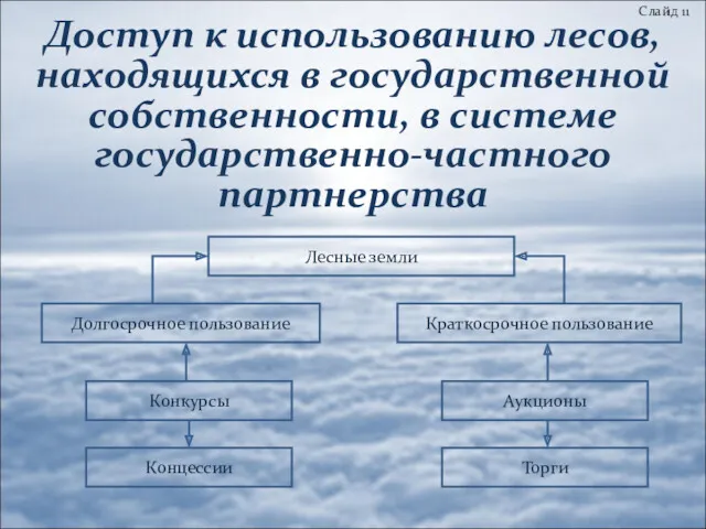 Доступ к использованию лесов, находящихся в государственной собственности, в системе