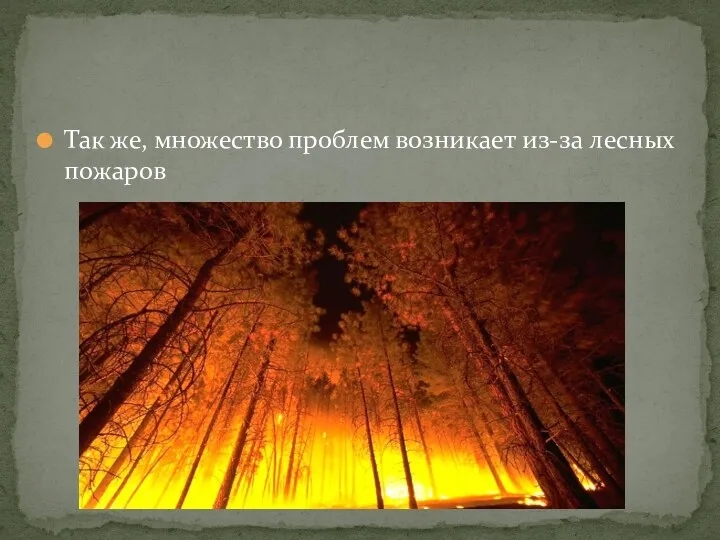 Так же, множество проблем возникает из-за лесных пожаров