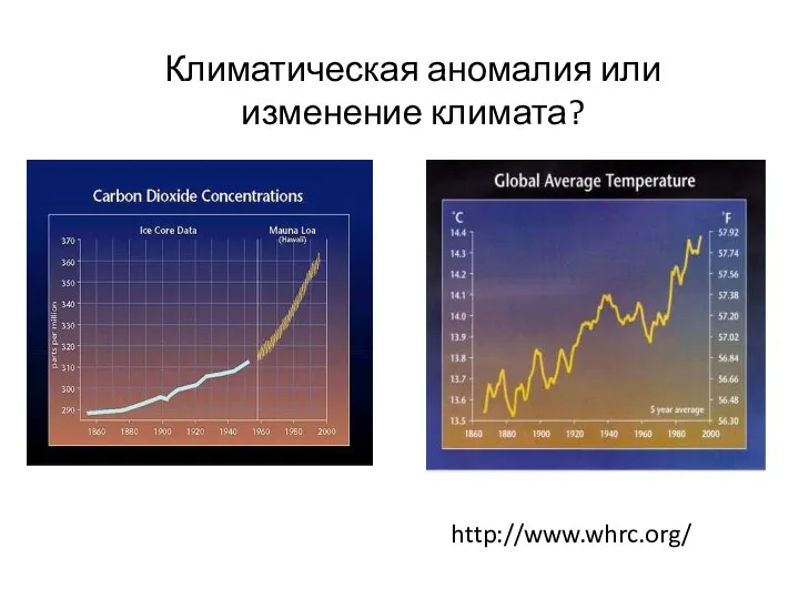http://www.whrc.org/ Климатическая аномалия или изменение климата?