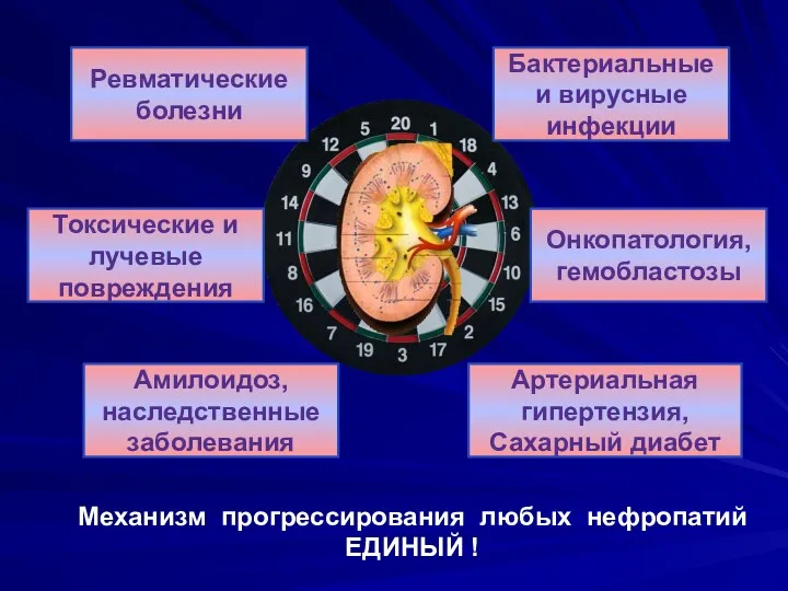 Ревматические болезни Бактериальные и вирусные инфекции Токсические и лучевые повреждения