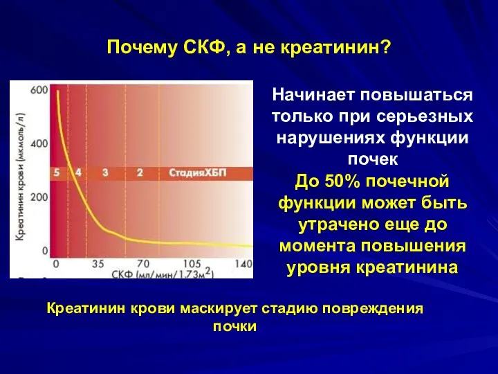 Почему СКФ, а не креатинин? Креатинин крови маскирует стадию повреждения