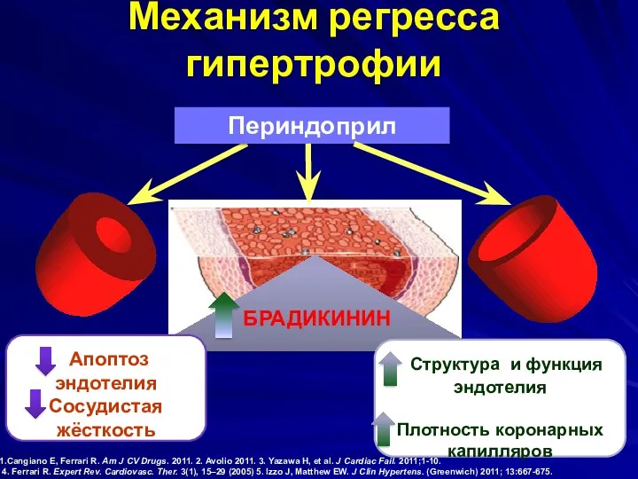 1.Cangiano E, Ferrari R. Am J CV Drugs. 2011. 2.