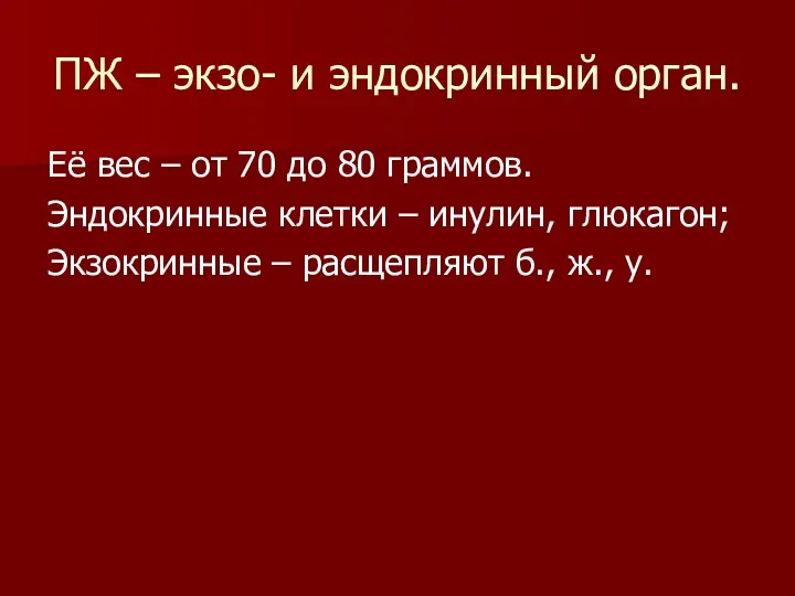 ПЖ – экзо- и эндокринный орган. Её вес – от