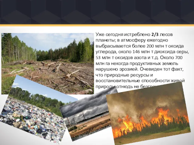 Уже сегодня истреблено 2/3 лесов планеты; в атмосферу ежегодно выбрасывается