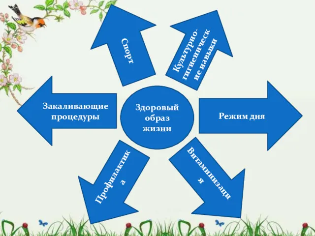 Здоровый образ жизни Витаминизация Профилактика Режим дня Закаливающие процедуры Культурно-гигиенические навыки Спорт